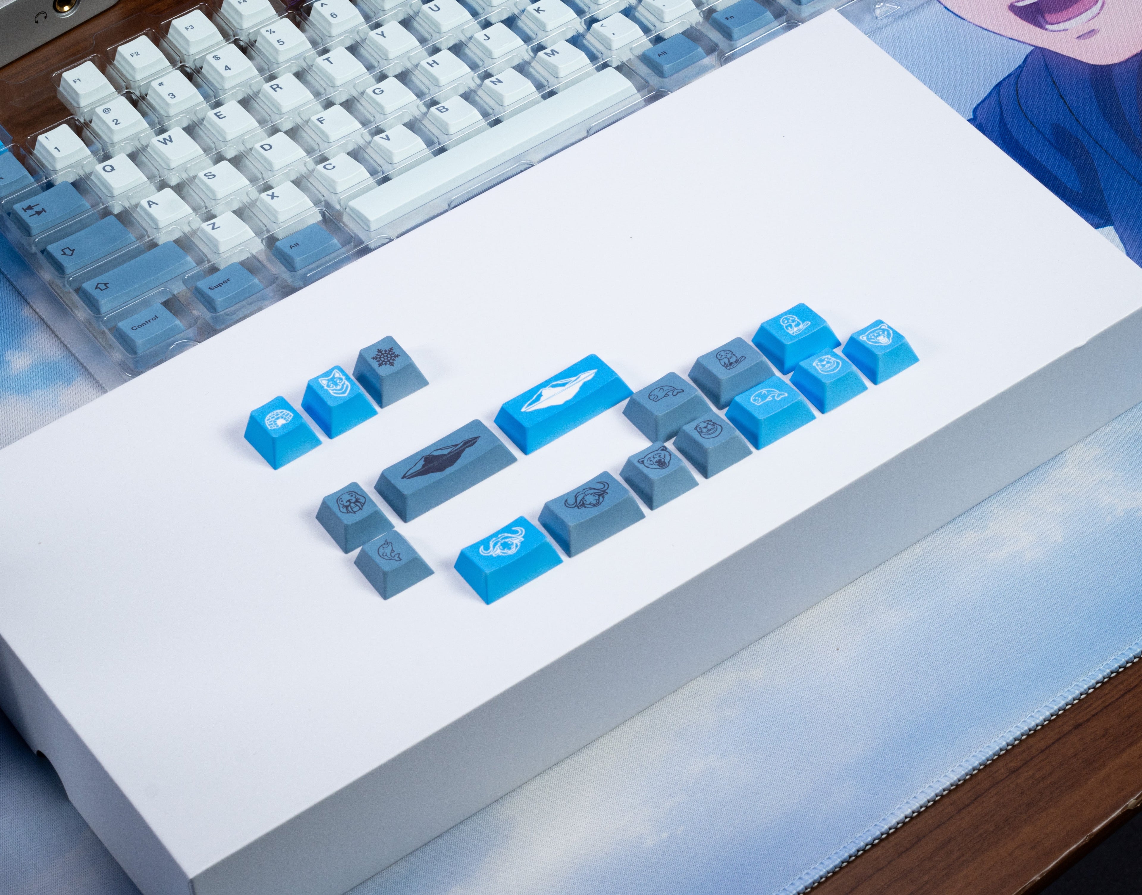 Arctic PBT Keycaps